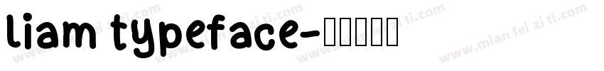liam typeface字体转换